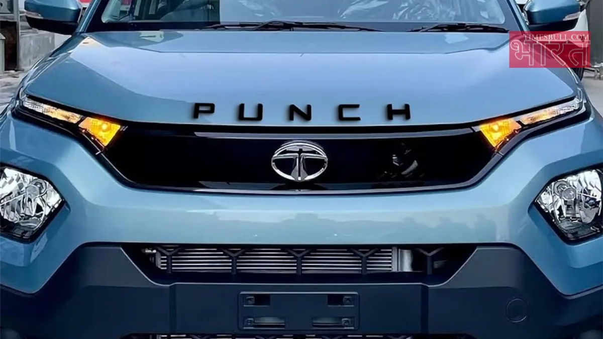 tata punch pure